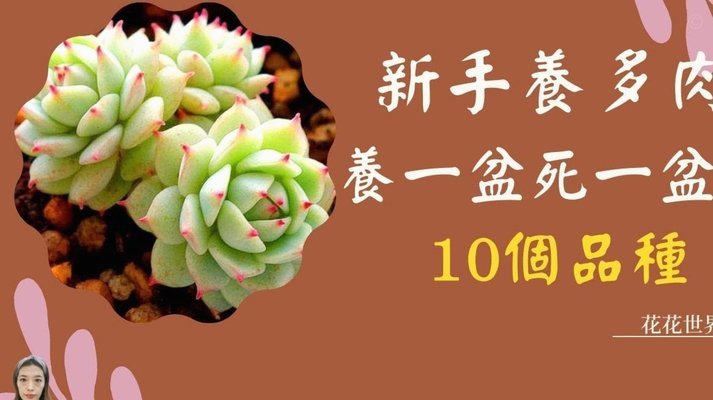 “拿去花”账单删不删？这步教你轻松搞定