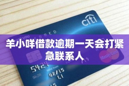 羊小咩借钱入口在哪里？五大路径解锁服务