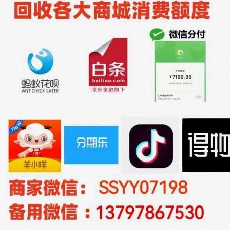 羊小咩消费额度可以刷出来