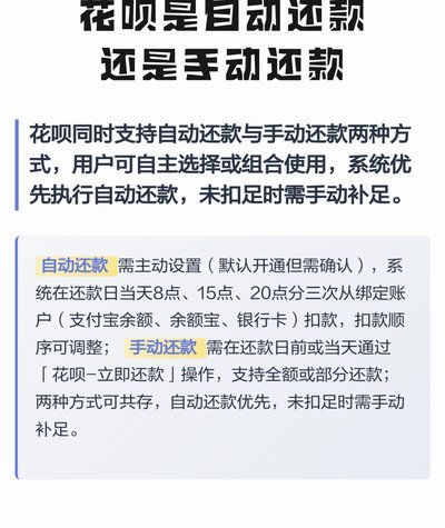 花呗秒套还款：风险与应对