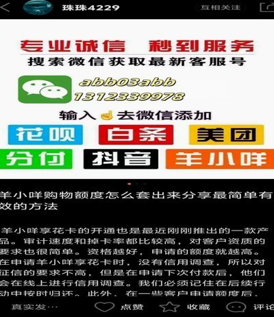 羊小咩入驻攻略