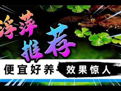 白条怎么套出来自己用比较划算