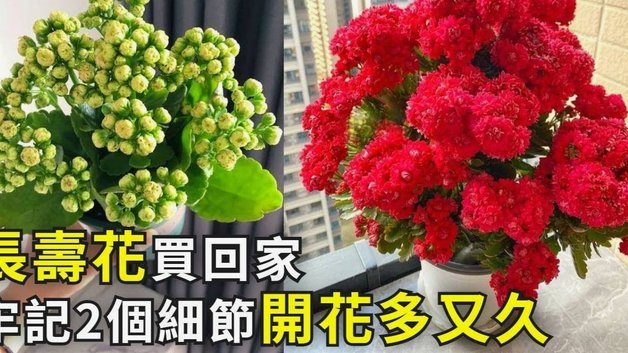 2021花呗使用攻略：如何用好信用工具，避开消费陷阱？