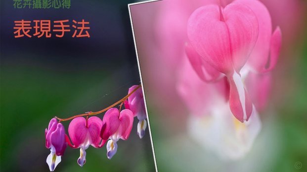 2021怎么套花呗