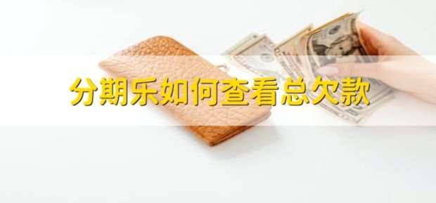 分期乐轻松获取借款
