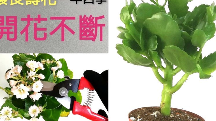 深入了解套现风险与合规使用边界