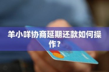 羊小咩怎么样协商延期还款