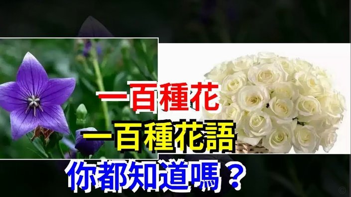 携程拿去花取现要审批吗