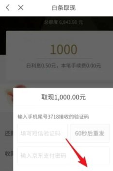 白条取现当天到账吗 怎么取消