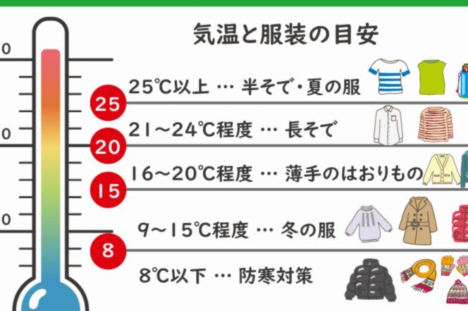 淘宝套现揭秘：灰色交易背后的风险与真相
