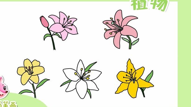 花呗套现风险揭秘：你需要知道的注意事项