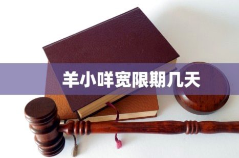 羊小咩还款有宽限期吗
