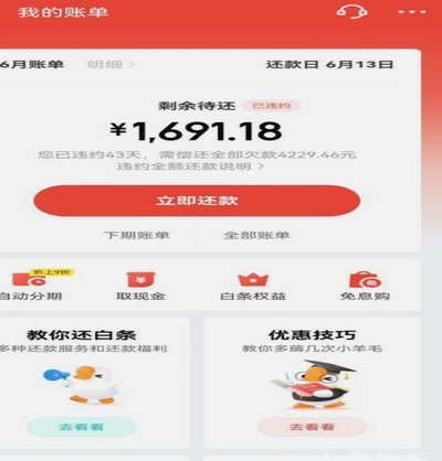 支持白条的第三方平台是哪个