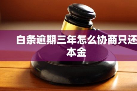 白条逾期怎么协商延期电话