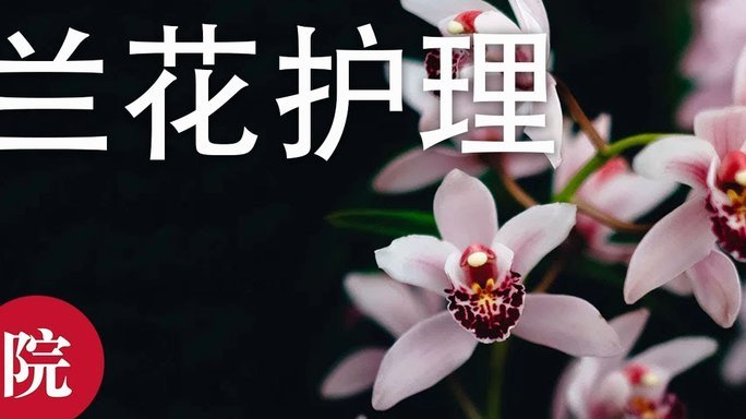 花呗提取额度是什么意思