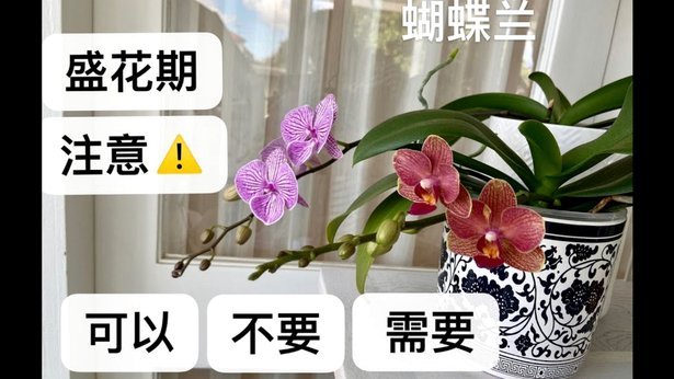 花呗提取额度是什么意思