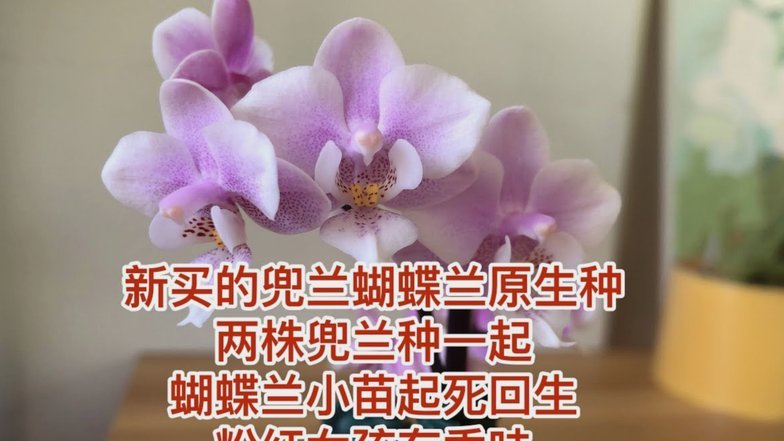激活沉淀资源：打造最小成本套利空间
