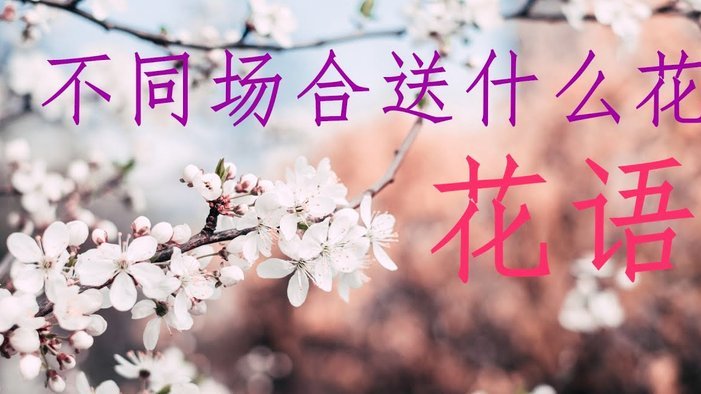 用花呗套付款可靠吗? 怎么取消