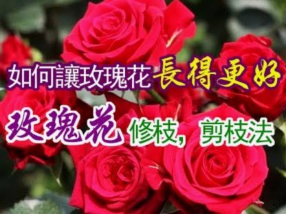 花呗提现额度如何影响信用评估