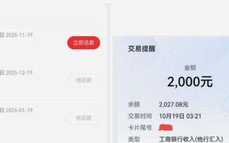 分期乐买鸭额度可以套现吗