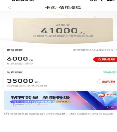 羊小咩怎么看不到额度了