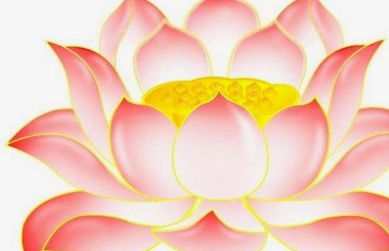 花卉异常状态探秘