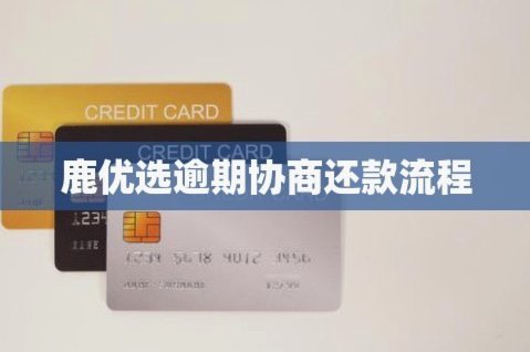 鹿优选借款4000实际到手多少？