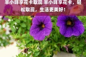 取现会影响拿去花贷款吗？