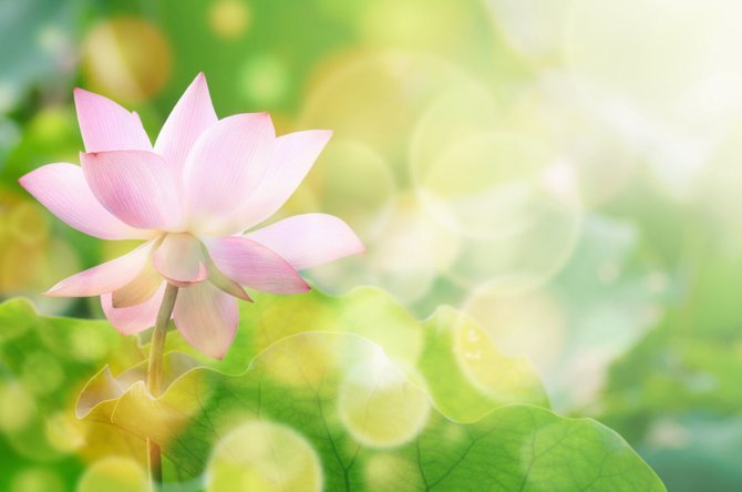 套现花呗需要手续费吗安全吗