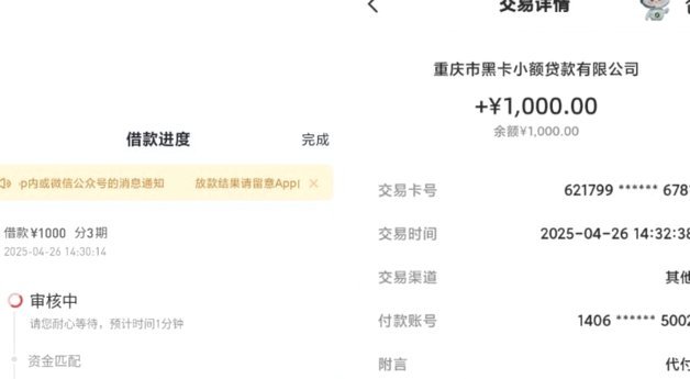 14天短期借款1000元