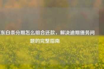 白条+现金支付新玩法