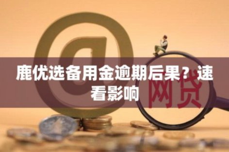 鹿优选商城额度8000