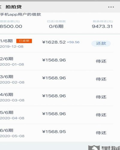 拍拍用借款入口在哪里 现在还款