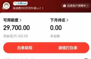 白条紧急取现24小时搞定